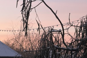 27 декабря в Астраханской области ожидается плюсовая температура воздуха