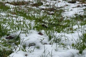 5 января солнце в Астрахани возьмет выходной