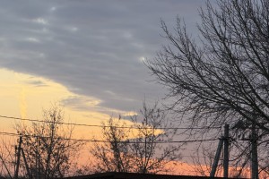 Завтра в Астраханской области будет туманно и ветрено