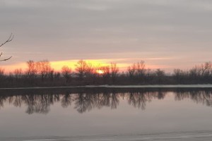 10 января в Астрахани ожидается пасмурный день