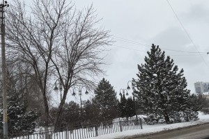 17 января в Астраханской области будет ветрено и снежно