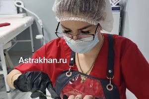 В Астраханской области дорожают услуги бьюти-мастеров