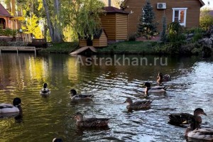 Туристы пополнили казну Астраханской области на 40 миллионов рублей