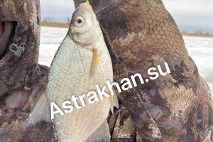 Рыбалка трудовая: что ловится в Астраханской области зимой?