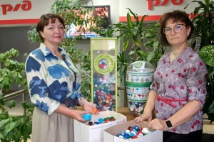 Снизили уровень шума, объём выбросов и посадили 23 тыс. деревьев: на ПривЖД подвели экологические итоги 2025 года