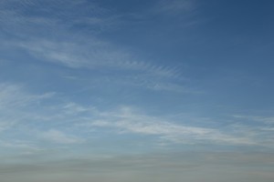 6 февраля в Астраханской области ожидается ветреная погода