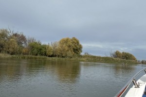 В 2026 году половодье ожидается выше уровня прошлых лет