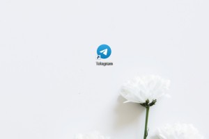 РКН не планировал замедлять работу мессенджера Telegram сегодня