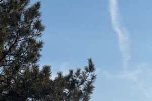 12 февраля в Астраханской области ожидается плюсовая температура