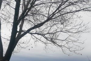 18 февраля в Астрахани немного похолодает