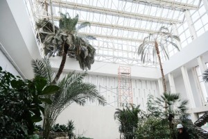 Скандальная реконструкция в Астрахани подходит к финалу