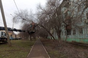 В Астрахани на улице Безжонова занялись опиловкой деревьев