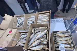 На знаменитом рынке в Астрахани нашли крупную партию сомнительной рыбы