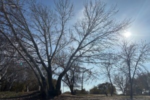 20 февраля в Астрахань придет потепление