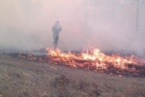 Пожарные обуздали огонь в Астраханском заповеднике