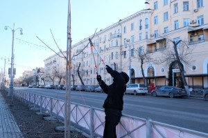 В Астрахани на площади Ленина подготавливают зеленые насаждения к весне