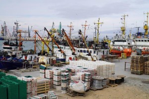 В Каспийском море планируют добывать больше сельди и кильки