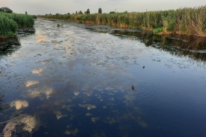 200 рабочих мест ждут рыбаков в Астрахани
