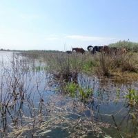 В Астраханской области начали подготовку к весеннему паводку