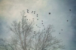 В Астрахань постепенно приходит тепло