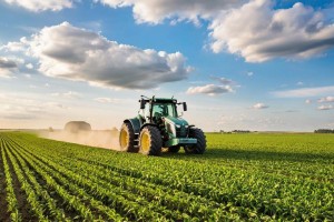 Ученые из Ставрополя и Москвы выяснили, как можно сократить выбросы углекислого газа на 4%