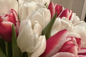 Астраханцы рассказали, сколько денег они готовы потратить на подарки на 8 Марта