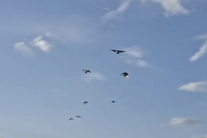 13 марта солнце порадует астраханцев приятной погодой