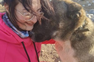 Астраханский щенок после серьезной аварии нашел новую хозяйку из Санкт-Петербурга