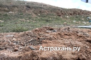 «Долина Кентавра» и улицы города: где в Советском районе Астрахани могут появиться очередные ЖК?