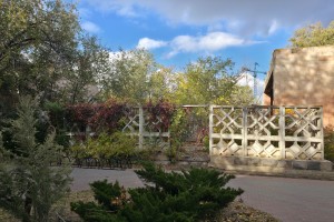 Астраханцы подали рекордное число идей для благоустройства