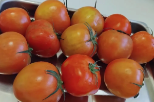 В Астрахань завезли помидоры с опасным вирусом