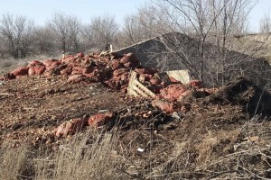 На севере Астраханской области образовалась огромная свалка из лука