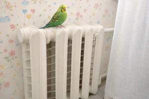 В Астрахани перенесли испытания теплосетей на 6 апреля