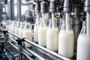 Крупнейший молокозавод Астрахани оказался никому не нужен