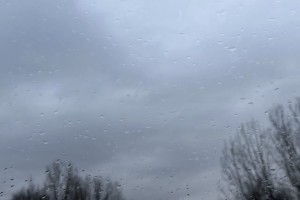 Сегодня в Астраханской области будет дождливо