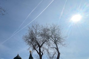 Сегодня в Астрахани будет тепло и солнечно