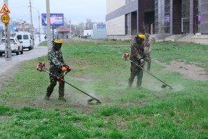 В Астрахани ликвидируют камыш и сорняки