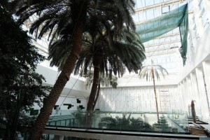 КРК «Октябрь» в Астрахани готовят к открытию