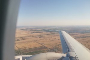 Собака, дочь и отмененный рейс: астраханец судится с «Аэрофлотом» из-за 175 тысяч рублей за билеты