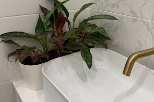 Астраханцы продолжают оставаться без горячей воды из-за испытаний теплосетей