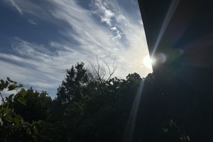 Сегодня в Астраханской области будет солнечно