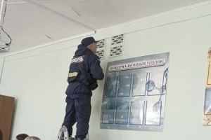 В Астрахани спасли котенка, застрявшего в вентиляции