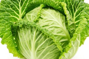 Астраханских фермеров предупреждают о возможном нашествии вредителей