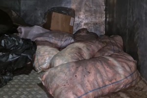 Астраханец случайно нашел 21 мешок с воблой, но не успел довезти до дома