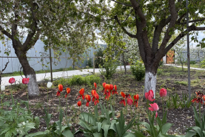 Астраханским дачникам напомнили о штрафах за неправильную обработку участков