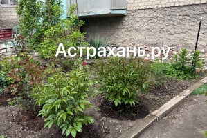 Астраханцев предупреждают о реальных штрафах во дворах многоэтажных домов