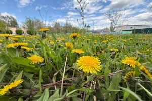 Сегодня астраханцев ждет теплый и солнечный день