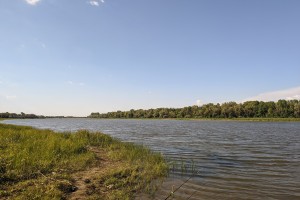 В Астраханской области завершился пик весеннего половодья