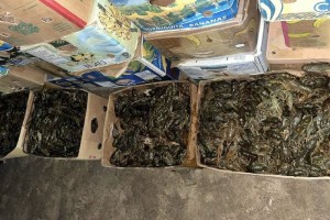 Двух астраханцев ждет суд за торговлю раками