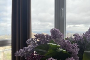 Сегодня в Астраханской области будет облачно